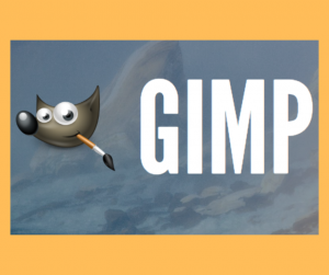 Gimp interface